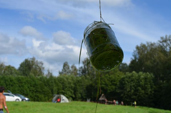 apkopoti-gandra-piedzivojumu-speles-meza-zapte-rezultati-muzikas-festivala-laba-daba-17