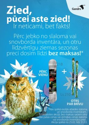 zied-pucei-aste-zied-ziemas-sezonas-precu-izpardosana