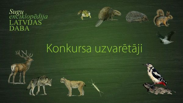 elektroniskas-sugu-enciklopedijas-wwwlatvijasdabalv-konkursa-kas-ir-tavs-atspulgs-daba-rezultati