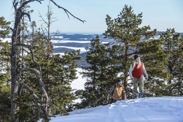 pietuvojies-dabai-zimola-fjallraven-jaunumi-un-papildinajumi-veikalos-gandrs