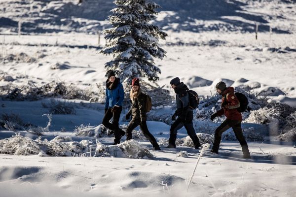 sagatavojies-saviem-ziemas-stastiem-zimolu-elan-drake-vaude-fjallraven-un-julbo-sezonas-jaunumi-un-papildinajumi-gandra