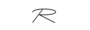 Richman spokes logo