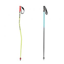 Ski poles