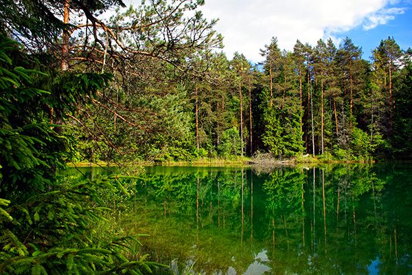 meklejot-magiju-noslepumainajos-entu-mezos-igaunija