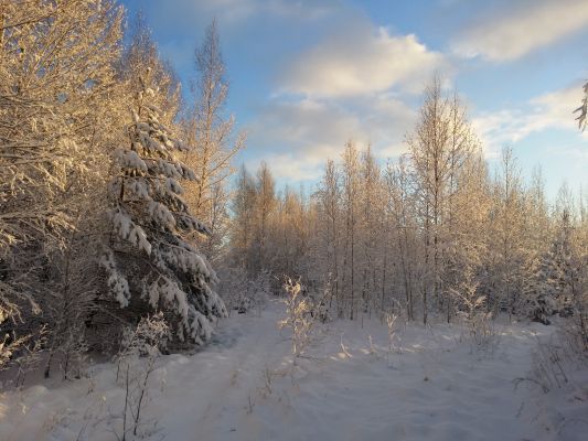 bartas-upes-ieaustie-raksti-ari-februari-liepajas-pargajiens