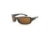 Angel Polarized 3