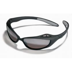 Saulesbrilles Arctic alti spectron x6