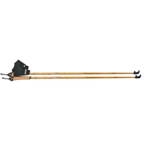 Bamboo