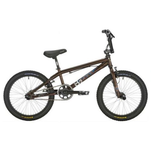 Bicycle Brad 2 BMX 09