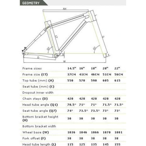 Rāmis Carbon FLX Team-V