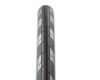 Riepa Maxxis Detonator 700