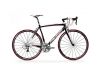 Road Race Lite 905-Com