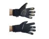 Gloves Arctic Evo Long Gloves