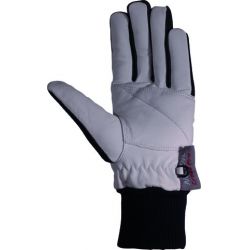 Gloves Nordic