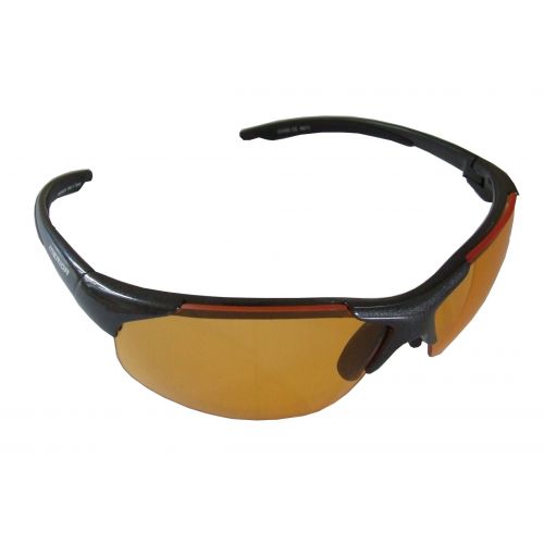 Brilles T213B1