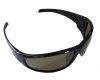 Brilles T261
