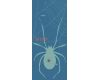 HAD Kids Spider Blue