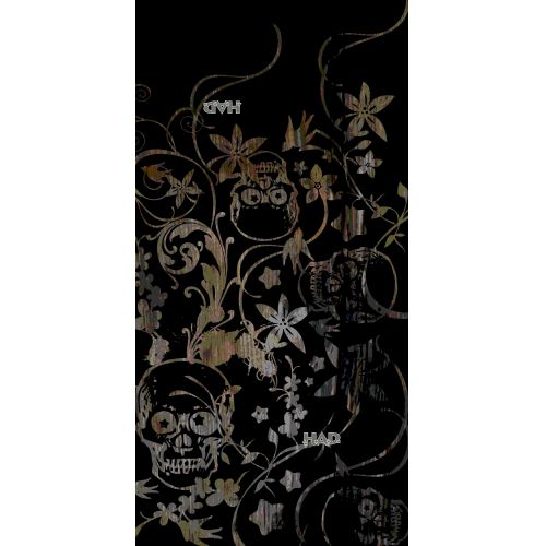 HAD Original Skull Phantom