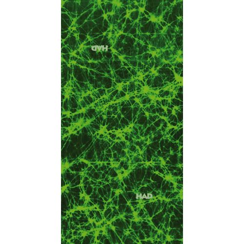HAD Original Spark Green