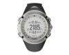 Ambit Silver