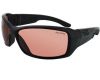 Saulesbrilles Run Falcon