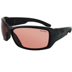Saulesbrilles Run Falcon