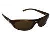 Brilles Pilot