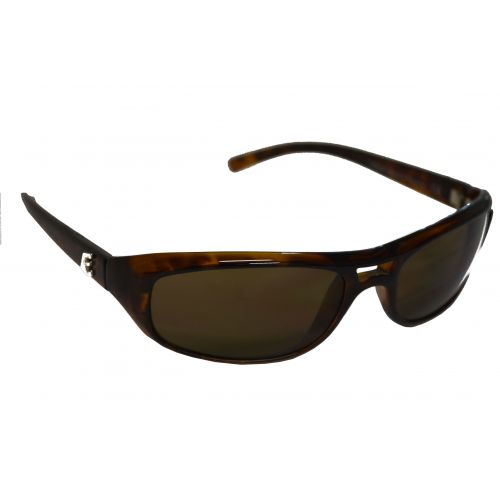 Brilles Pilot