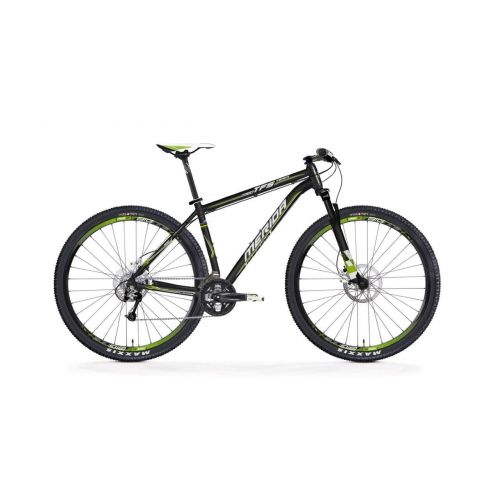 Mountain bike Big Nine TFS 300 29" kalnu velosipēds