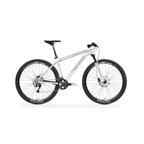 Mountain bike Big Nine TFS 300 29" kalnu velosipēds