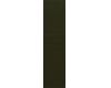 Belt Elastic Belt