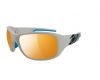 Sunglasses Stunt Zebra