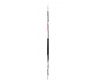 Nordic skis Astra Classic Nis