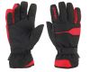 Gloves Morritz GTX