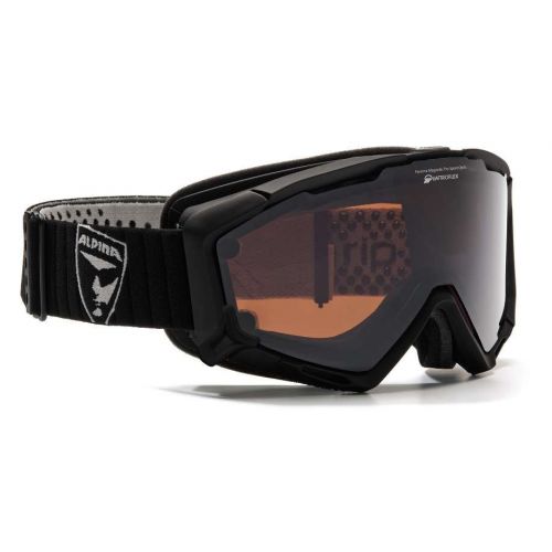 Goggles Panoma Magnetic
