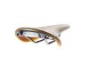 Balnelis Cambium C17 H