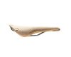 Saddle Cambium C17 H