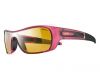 Sunglasses Groovy Zebra
