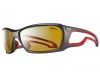 Sunglasses Pipeline L Zebra