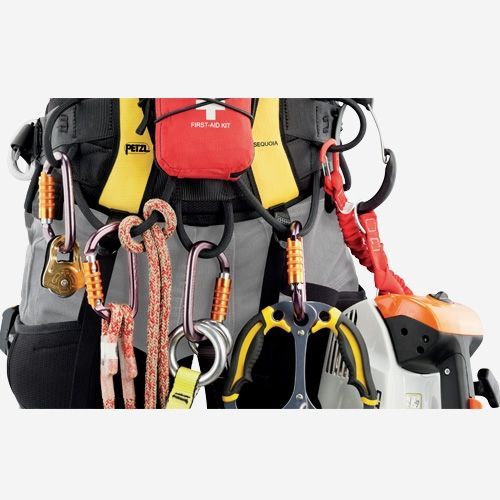 Sequoia SRT C69BFA Harness