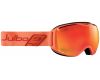 Goggles Quantum Polarized