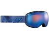 Goggles Quantum Polarized