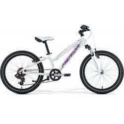 Bērnu velosipēds Matts J20 Girl