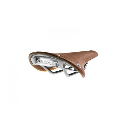 Saddle Cambium C15