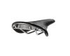 Saddle Cambium C17 H