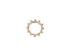 Chainring CS-HG81-10