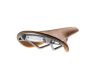 Saddle Cambium C17 H