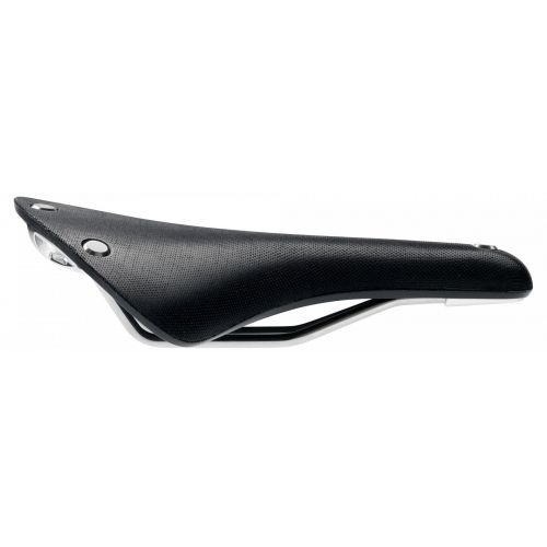 Saddle Cambium C19