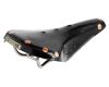 Saddle B17 Titanium