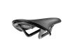 Saddle Cambium C13